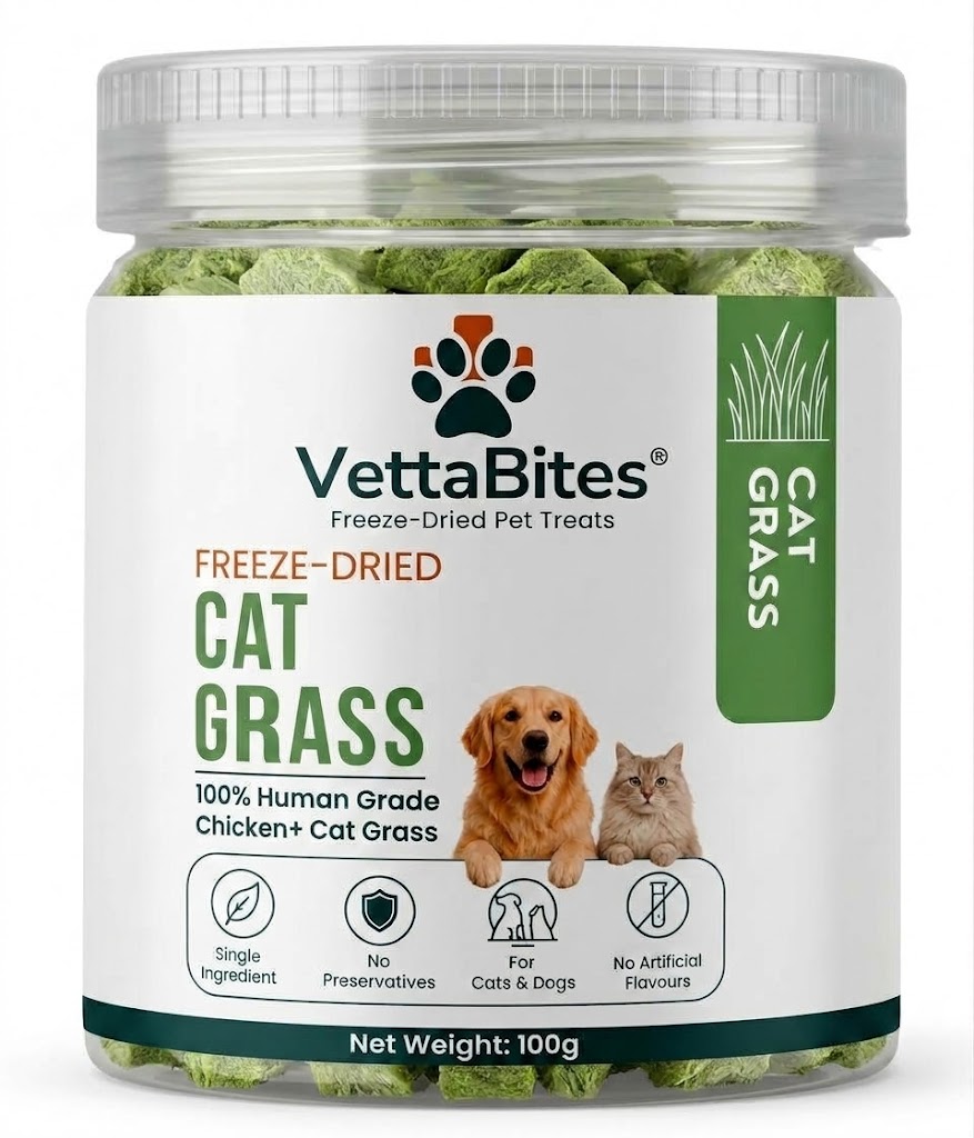 VettaBites freeze-dried chicken and cat grass 100g jar