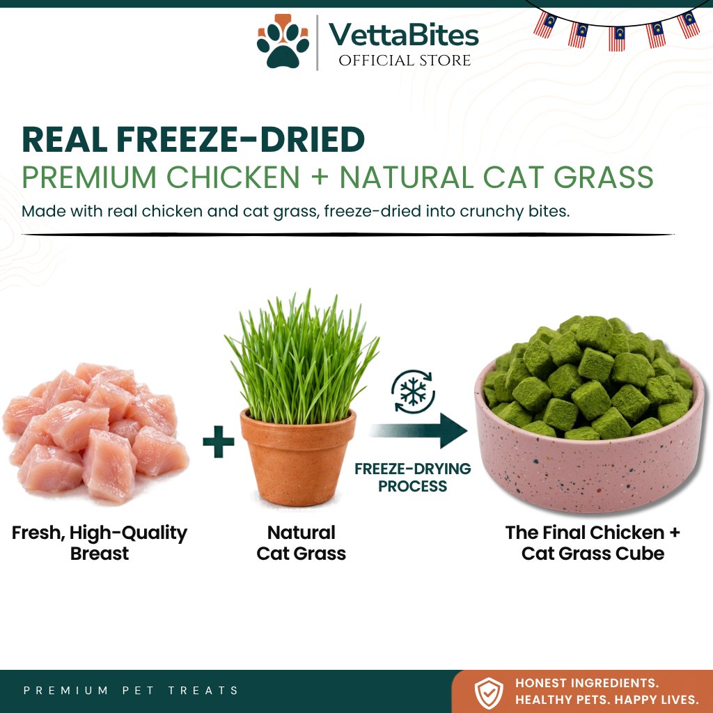 Fresh chicken breast and natural cat grass freeze-dried into VettaBites chicken and cat grass cubes