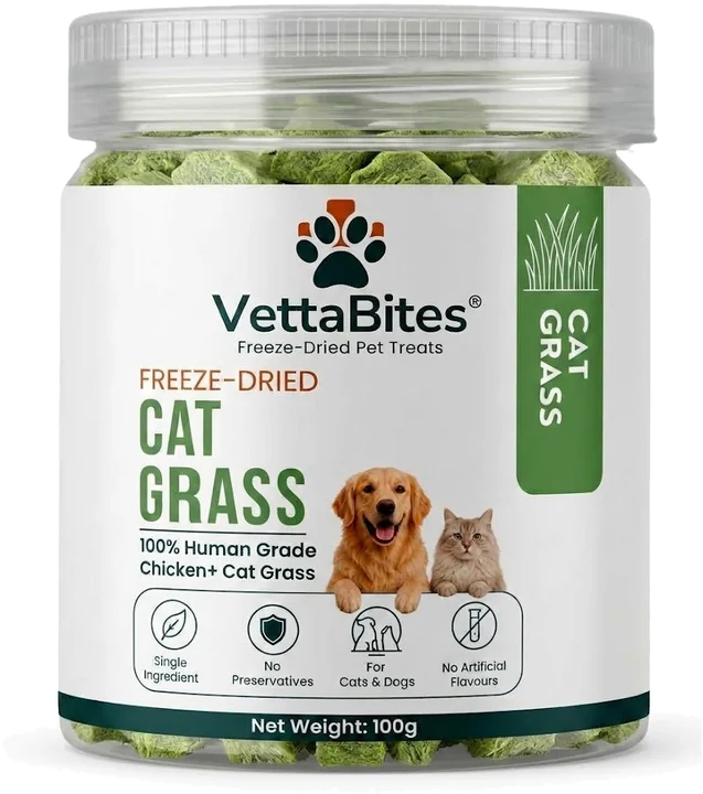Cat grass jar