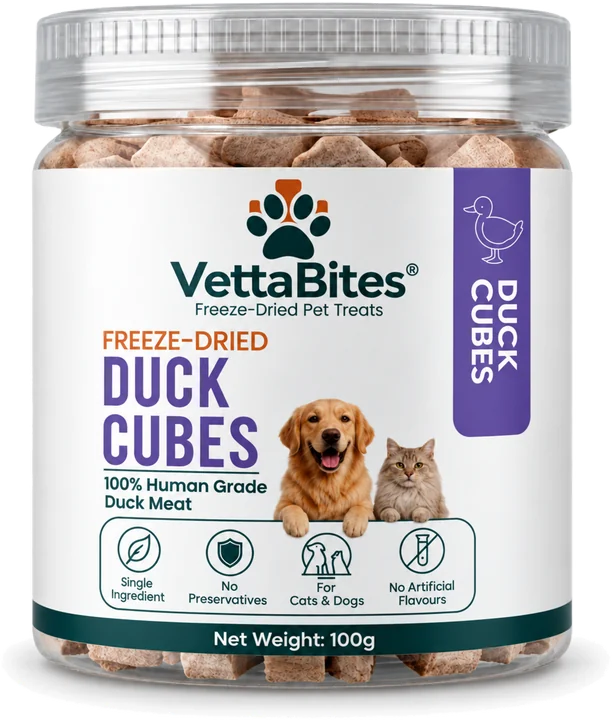 Duck cubes jar