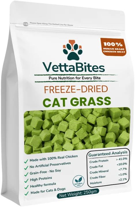 VettaBites cat grass pouch