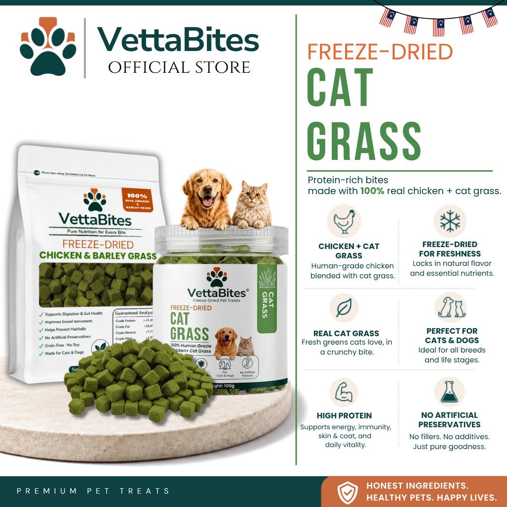 VettaBites freeze-dried chicken and cat grass cubes with pouch and jar